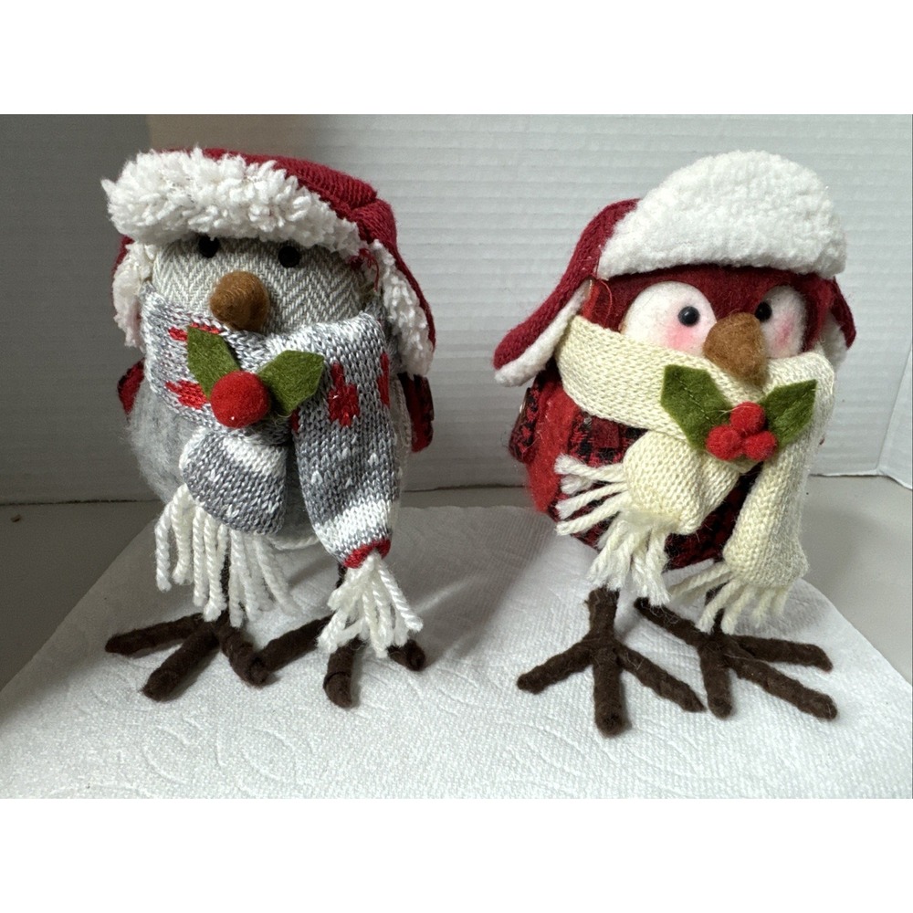 Target Bird Lot Of 2 Wondershop Birds Body  Earflap Hat Fall Winter